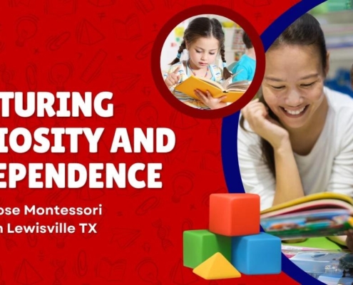 montessori schools in lewisville tx