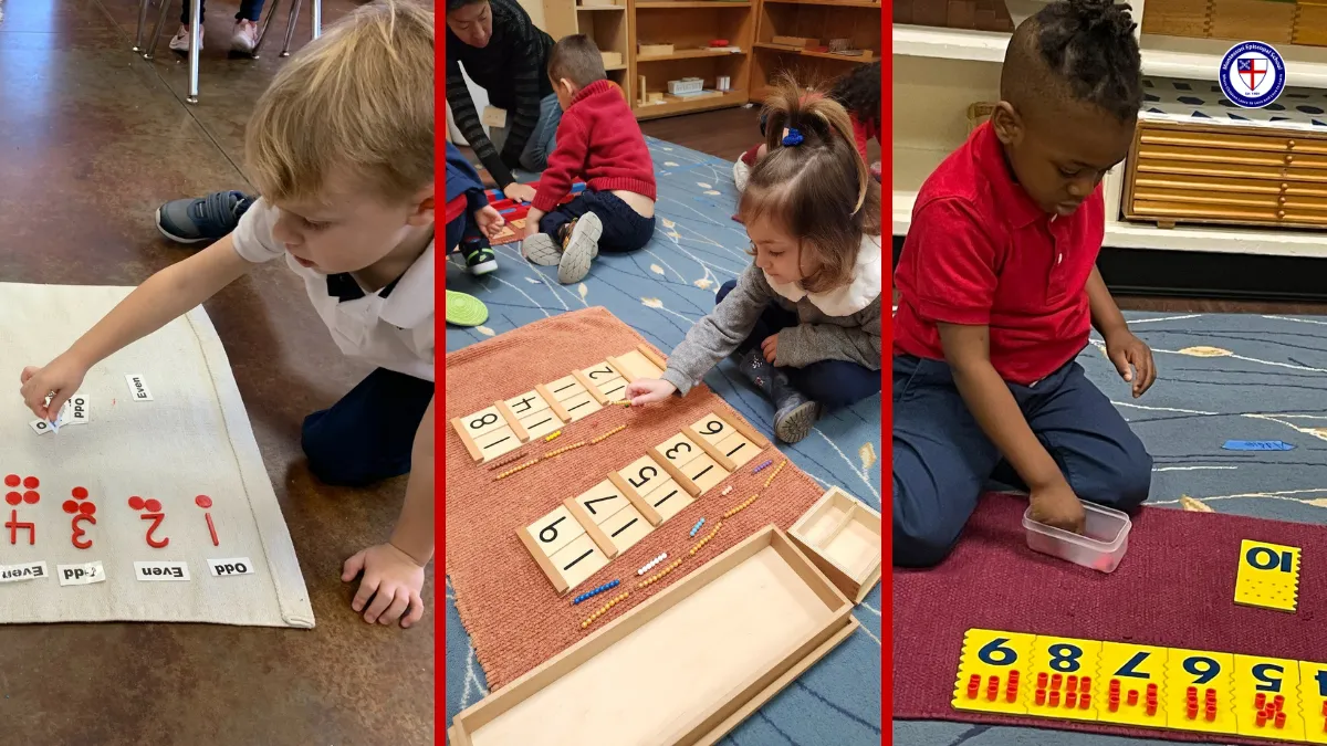 Importance of Mathematics in Montessori 