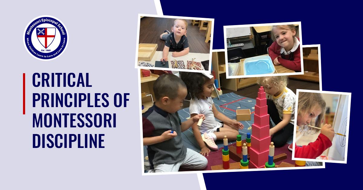 Montessori Discipline