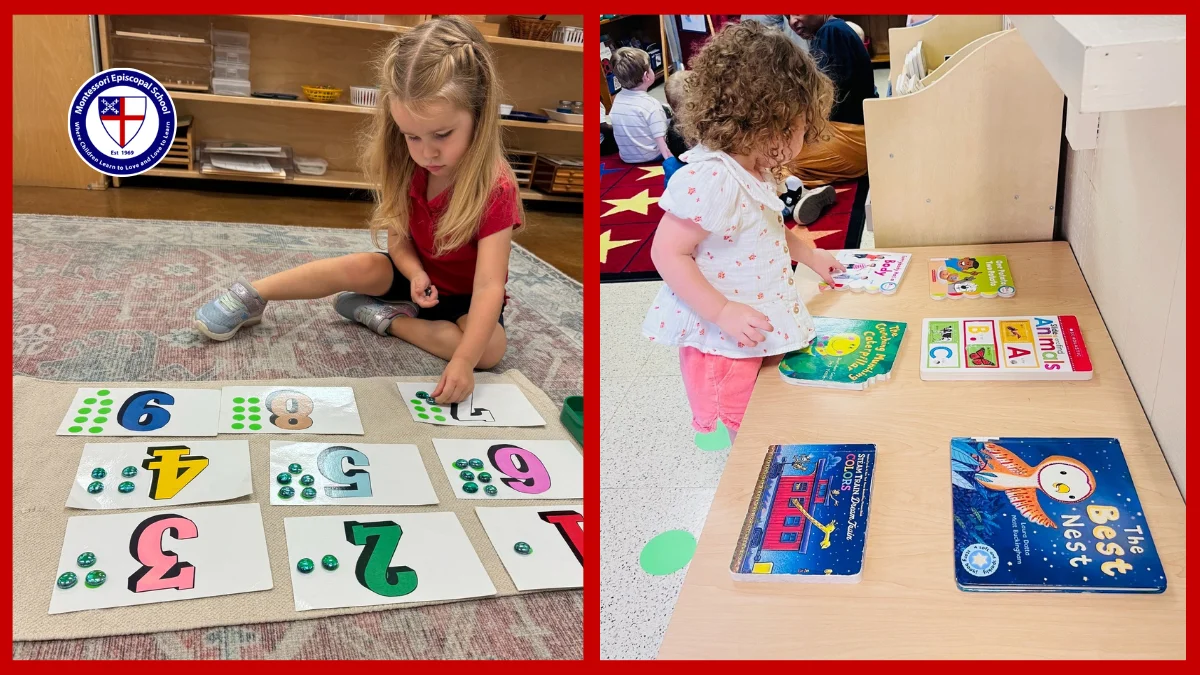 Finding the Best Montessori Schools Near Me 