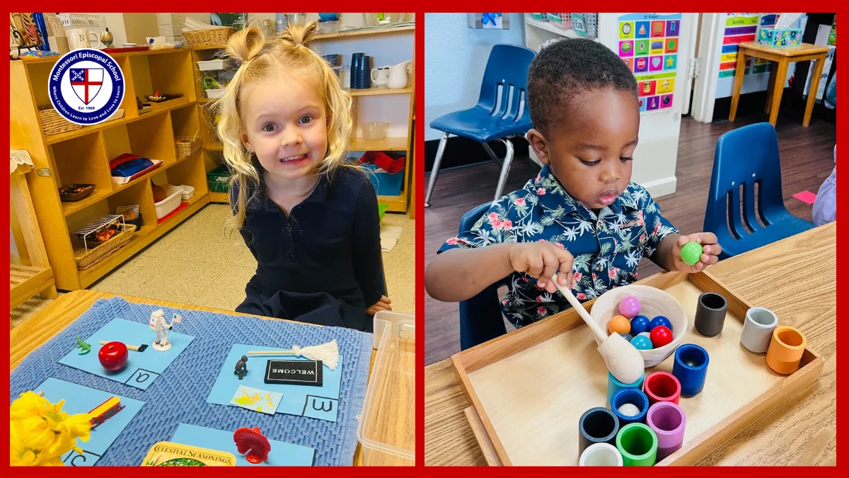 Exploring the Montessori Philosophy 