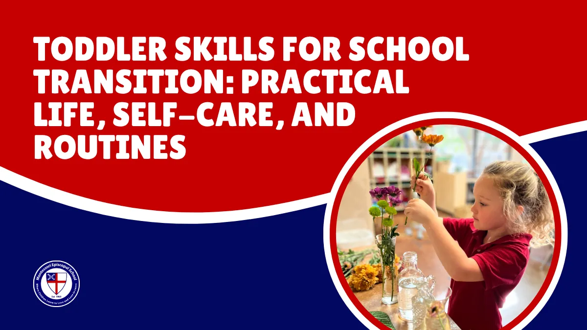 toddler skills for shool transitition practical l