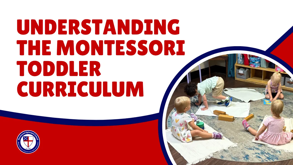 Montessori Toddler Curriculum
