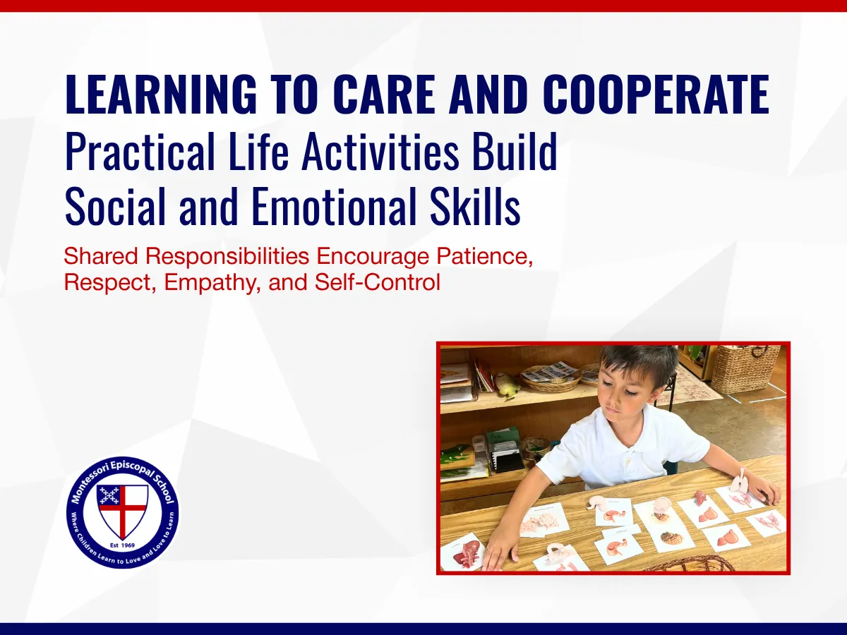 How Practical Life Activities Support Social and Emotional Growth