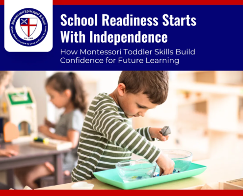 Montessori Toddler Classroom Independence Skills
